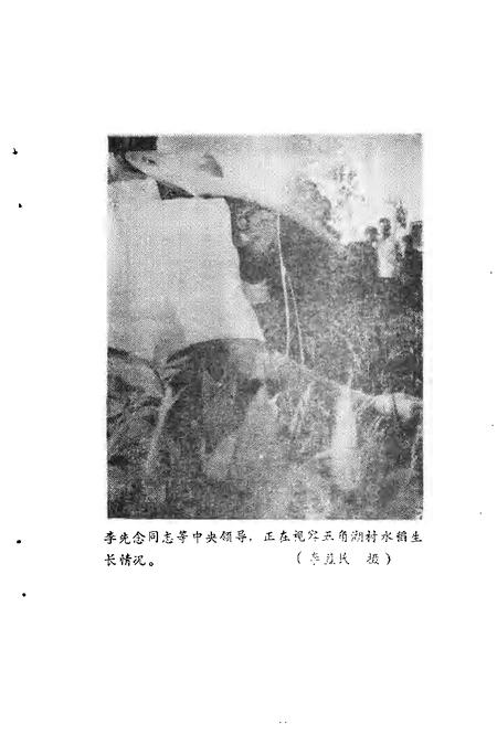 -铁岭文史资料  第5辑.pdf电子版_辽宁省志插图4