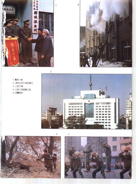 1995-鞍山市志  政法卷.pdf电子版_辽宁省志插图4
