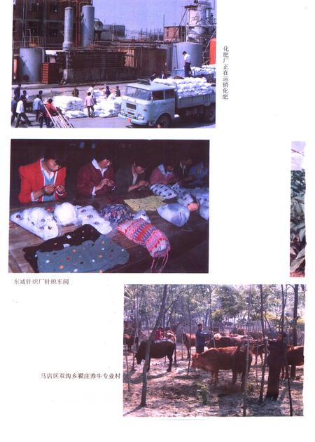 1995版利辛县志.pdf电子版_安徽省志插图4