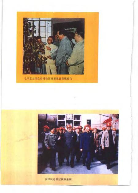 1995版巢湖地区简志.pdf电子版_安徽省志插图4