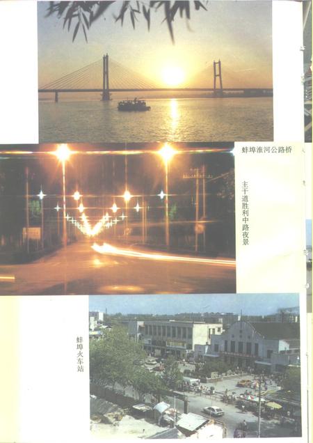 1995版蚌埠市志.pdf电子版_安徽省志插图4