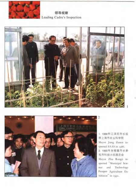 1996-上海农业科研志.pdf电子版_上海市志插图4