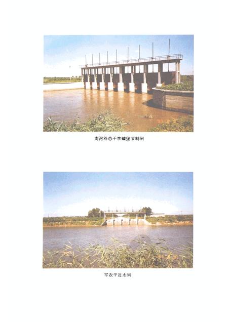 1996-大洼县水利志  1928-1990.pdf电子版_辽宁省志插图4