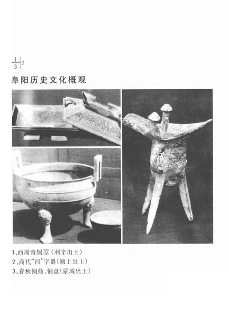 1998版阜阳历史文化概观.pdf电子版_安徽省志插图4