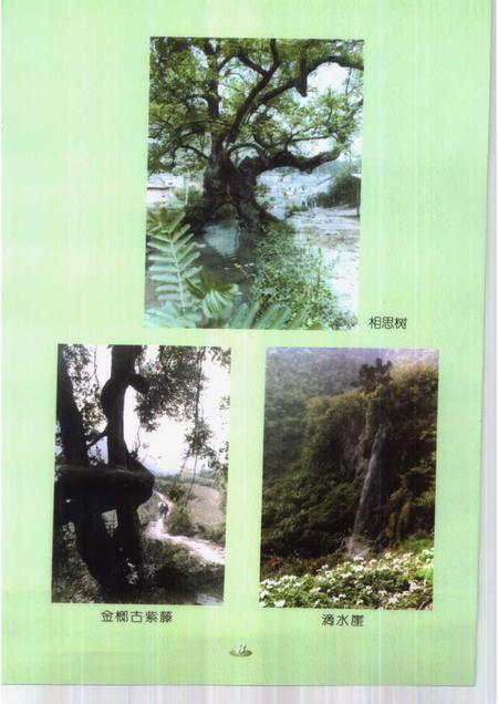 1999版铜陵文史资料选编  第8辑  铜陵旅游资源辑览.pdf电子版_安徽省志插图4