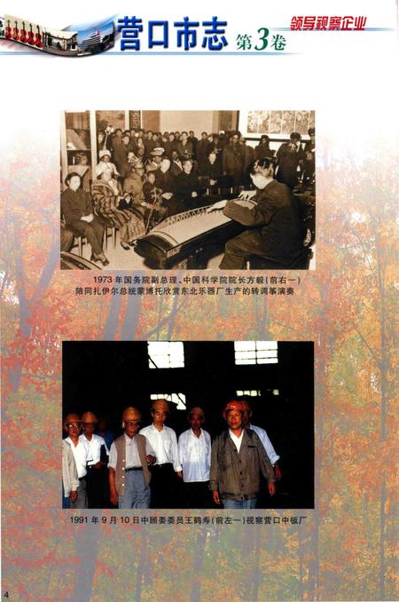 2001-营口市志  第3卷  工业  综合管理  外经外贸.pdf电子版_辽宁省志插图4