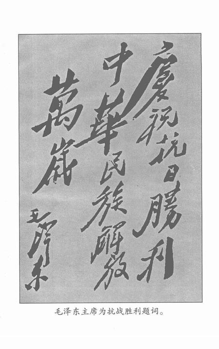 2001版淮北抗日风云.pdf电子版_安徽省志插图4