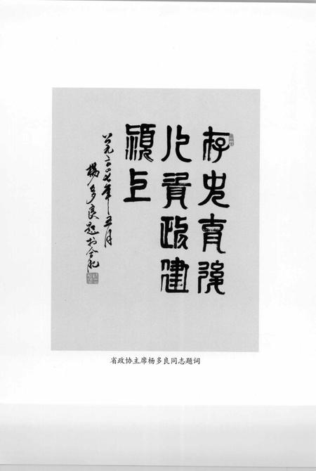 2007版中共颍上地方史  第2卷  征程万里.pdf电子版_安徽省志插图4