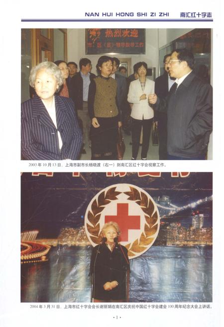 2012-南汇红十字志.pdf电子版_上海市志插图4