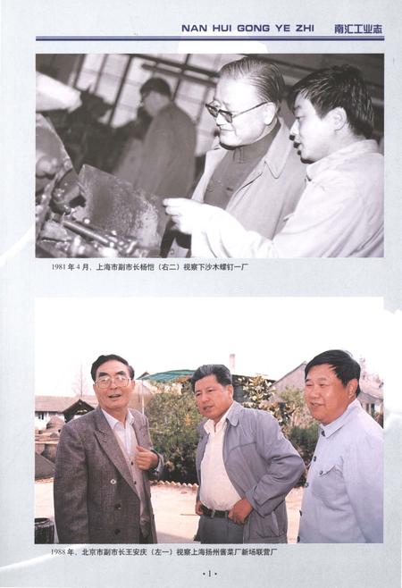 2013-南汇工业志.pdf电子版_上海市志插图4