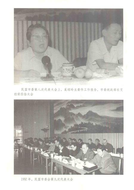 2013版芜湖民盟史.pdf电子版_安徽省志插图4