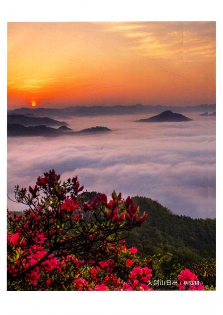 2014版六安谚语集成.pdf电子版_安徽省志插图4