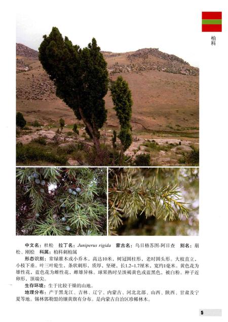 2016-内蒙古自治区锡林郭勒盟木本植物图鉴.pdf电子版_内蒙古志插图4