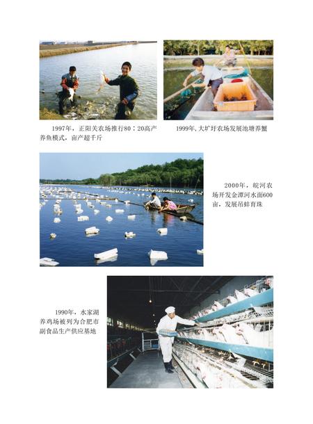 安徽省志农垦志.pdf电子版_安徽省志插图4