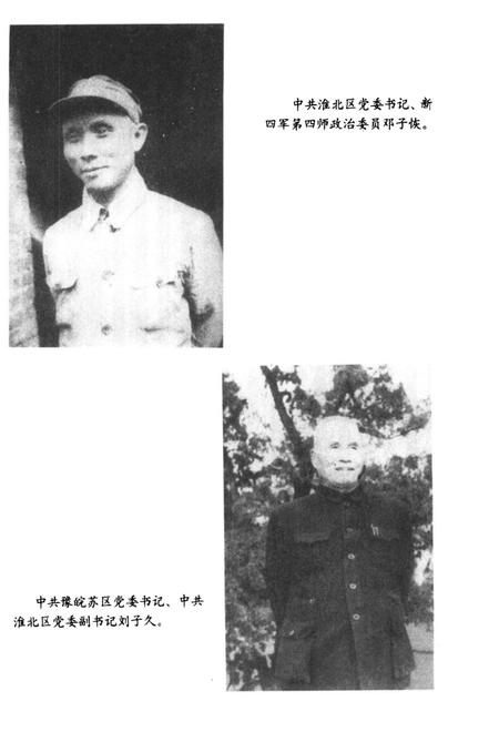 抗战在淮北  第4辑.pdf电子版_安徽省志插图4