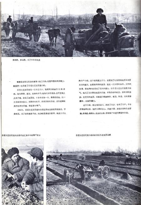 新疆画报1962年第03期.pdf电子版_新疆维吾尔族自治区志插图4
