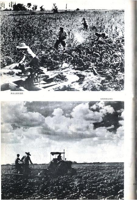 新疆画报1962年第06期.pdf电子版_新疆维吾尔族自治区志插图4