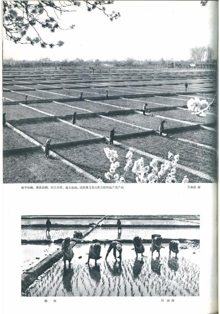 新疆画报1964年第04期.pdf电子版_新疆维吾尔族自治区志插图4