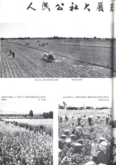 新疆画报1964年第05期.pdf电子版_新疆维吾尔族自治区志插图4