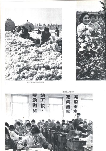 新疆画报1964年第06期.pdf电子版_新疆维吾尔族自治区志插图4