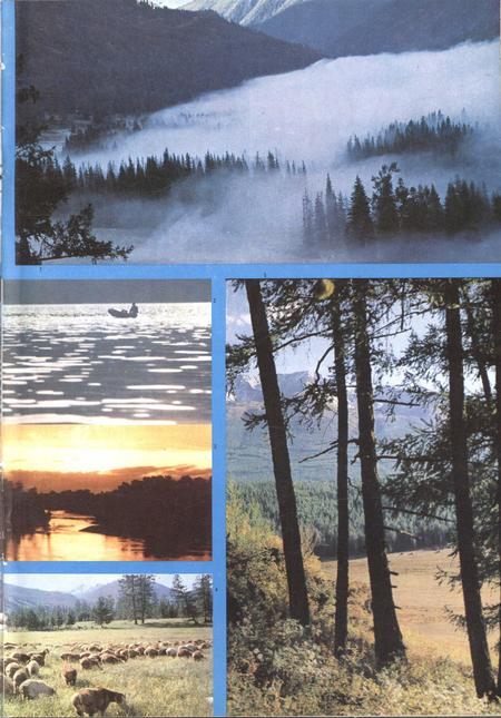 新疆画报1981年第01期.pdf电子版_新疆维吾尔族自治区志插图4