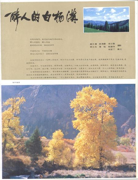 新疆画报1987年第02期.pdf电子版_新疆维吾尔族自治区志插图4