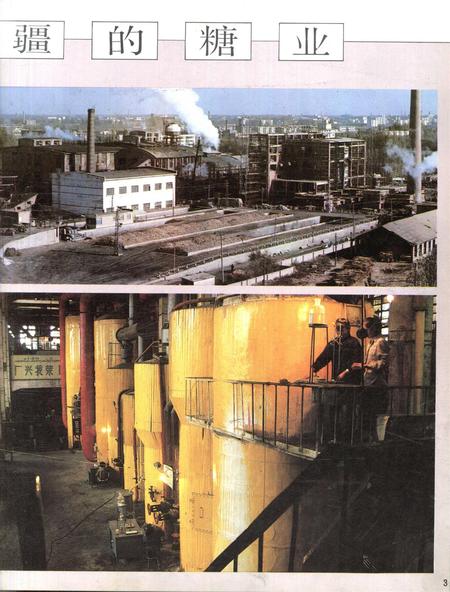 新疆画报1989年第01期.pdf电子版_新疆维吾尔族自治区志插图4