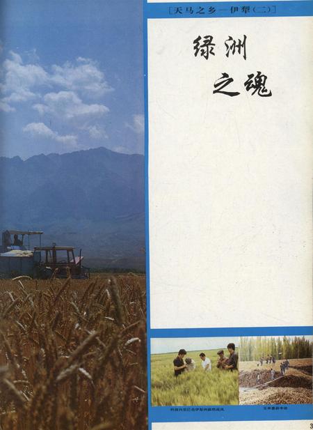 新疆画报1991年第06期.pdf电子版_新疆维吾尔族自治区志插图4
