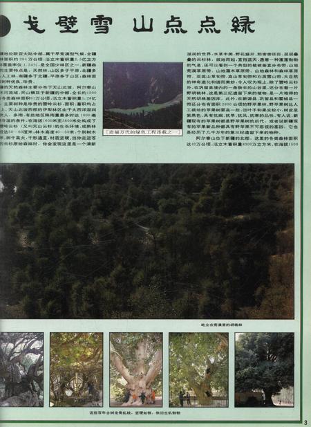 新疆画报1992年第03期.pdf电子版_新疆维吾尔族自治区志插图4