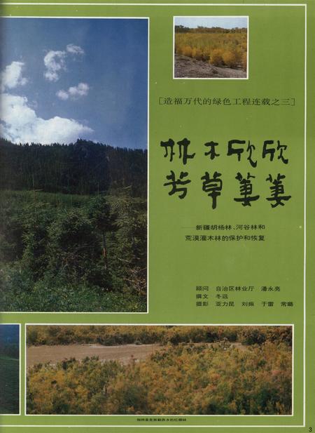 新疆画报1992年第05期.pdf电子版_新疆维吾尔族自治区志插图4