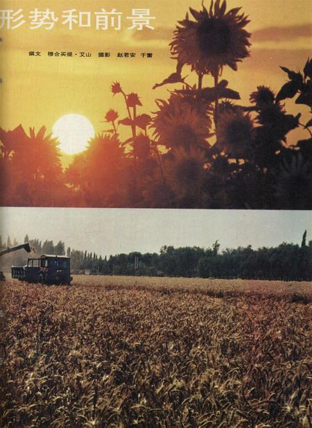 新疆画报1994年第05期.pdf电子版_新疆维吾尔族自治区志插图4