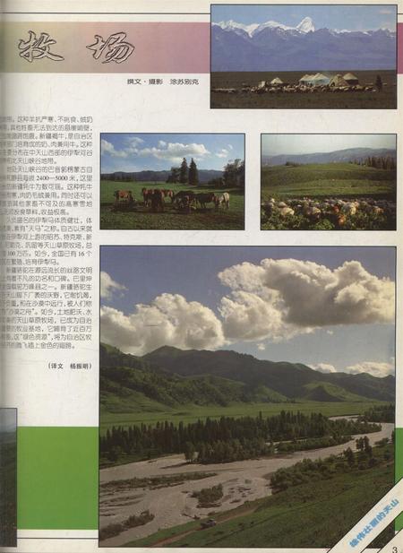新疆画报1999年第01期.pdf电子版_新疆维吾尔族自治区志插图4