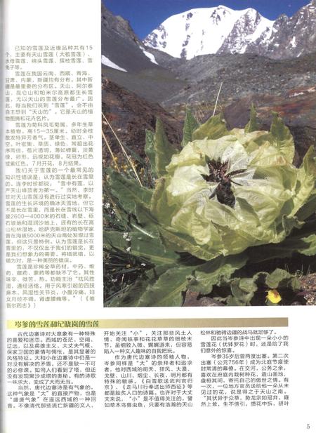 新疆画报2010年第06期.pdf电子版_新疆维吾尔族自治区志插图4