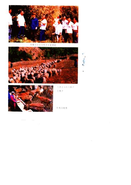 1985-喀喇沁左翼蒙古族自治县概况.pdf电子版_辽宁省志插图4