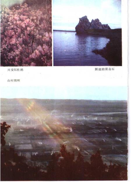 1985-莫力达瓦达斡尔族自治旗概况.pdf电子版_内蒙古志插图4