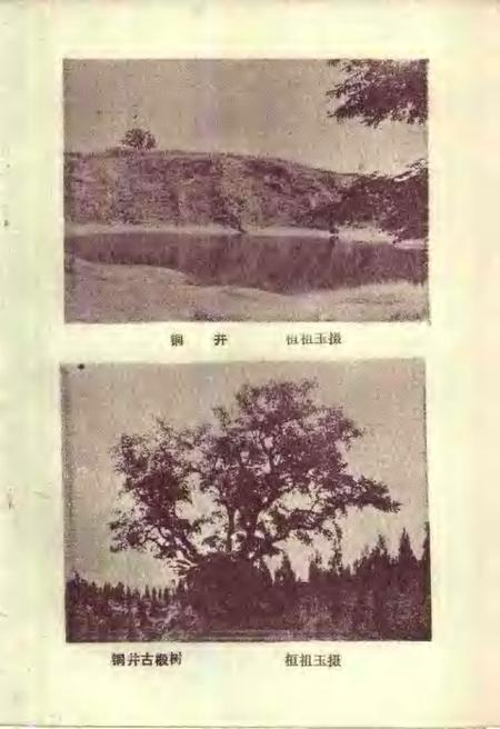 1986版全椒文史资料  第2辑.pdf电子版_安徽省志插图5