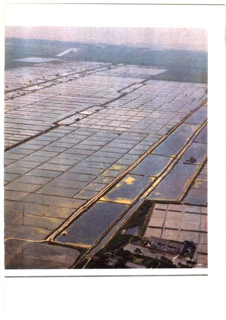 1987-奉贤盐政志.pdf电子版_上海市志插图5