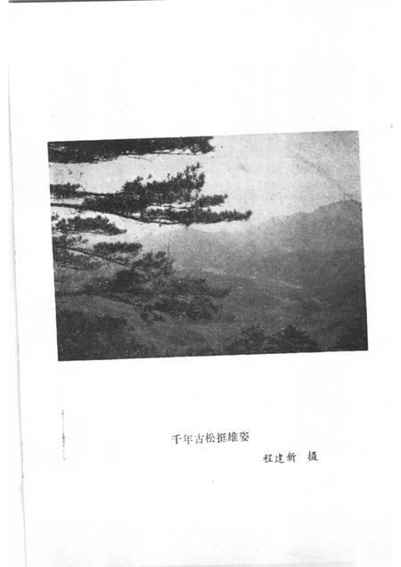1989版红色鹞落坪：岳西县美丽乡党史资料选编.pdf电子版_安徽省志插图5