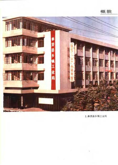 1990-上海市奉贤县乡镇工业志.pdf电子版_上海市志插图5