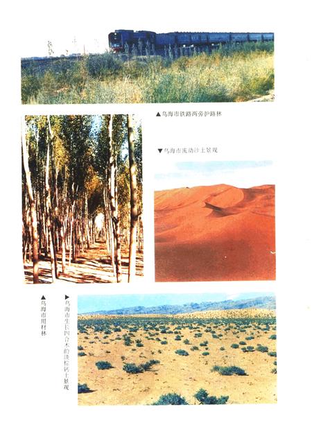 1990-乌海市农业区划.pdf电子版_内蒙古志插图5