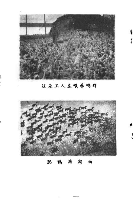 1990版南陵县文史资料  1990年第10辑.pdf电子版_安徽省志插图5