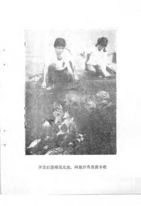 1990版铜陵文史资料选编  第5辑.pdf电子版_安徽省志插图5