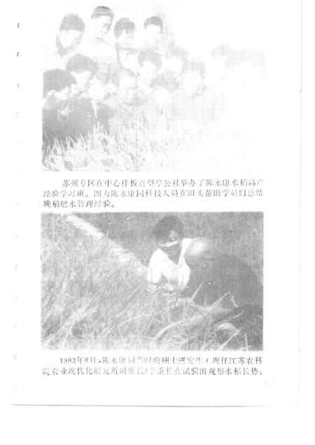 -松江文史  第14辑  陈永康专辑.pdf电子版_上海市志插图5