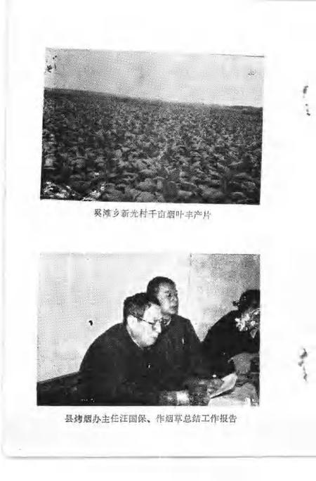 1991版南陵县文史资料  第11辑.pdf电子版_安徽省志插图5