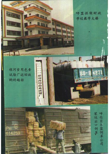 1992-呼伦贝尔盟供销合作社志.pdf电子版_内蒙古志插图5