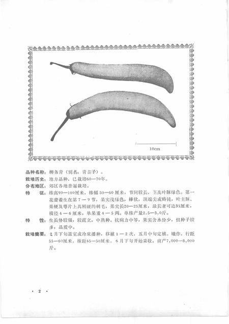 -沈阳市郊区蔬菜品种志.pdf电子版_辽宁省志插图5
