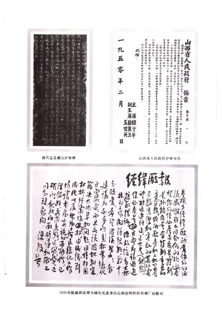 1992-山西通志  第9卷  林业志.pdf电子版_山西省志插图5