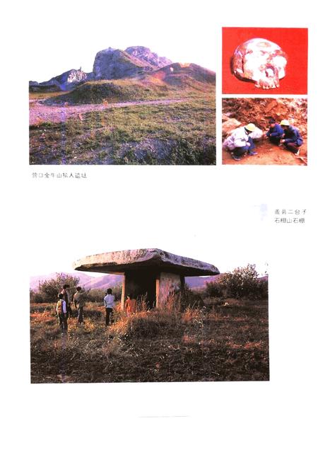 1992-营口市科学技术志.pdf电子版_辽宁省志插图5