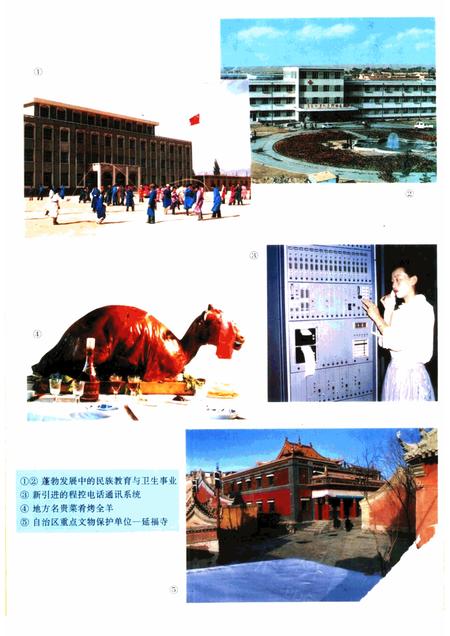 1992-阿拉善盟农牧业区划.pdf电子版_内蒙古志插图5