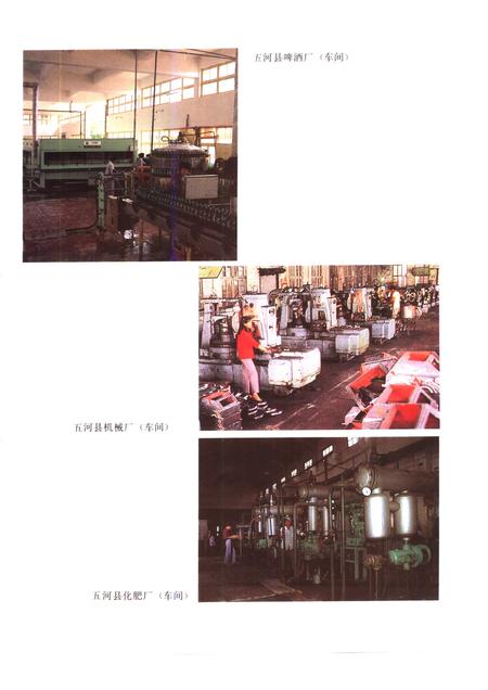 1992版五河县志.pdf电子版_安徽省志插图5